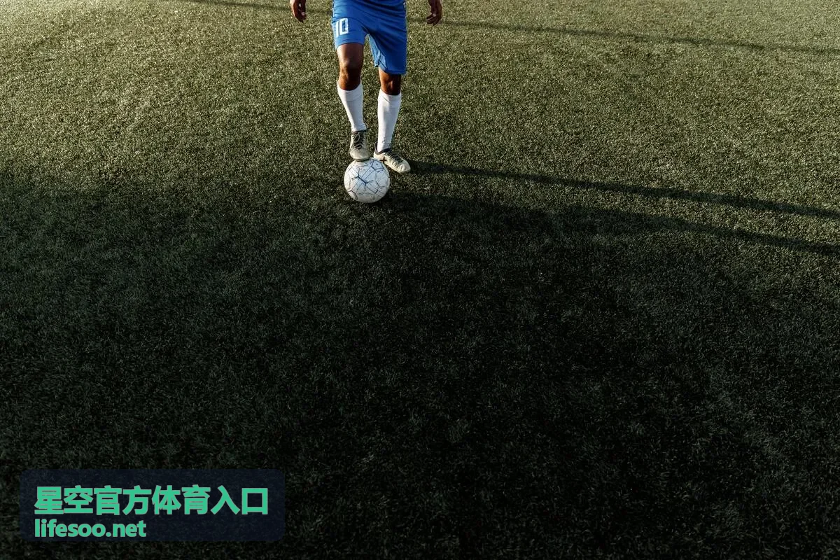 星空官方体育入口手机端访问界面示意
